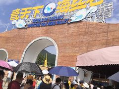 -瓷天下海丝谷