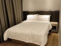 -汉庭优佳(上海恒隆广场南京西路地铁站店)