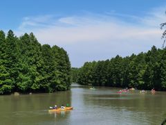 -上海海湾国家森林公园