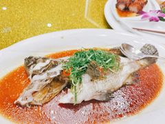 石斑鱼-广州塔晖粤轩中餐厅