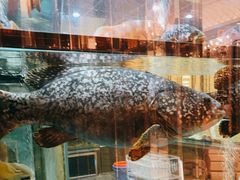 -金翠皇宫粤菜·点心·海鲜(科技园店)