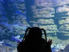 -江和美海洋公园