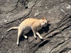 -东天目山风景区