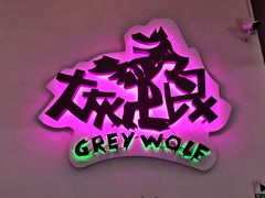 -大灰狼(中心书城店)