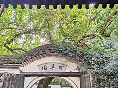 -绍兴鲁迅故里·沈园景区