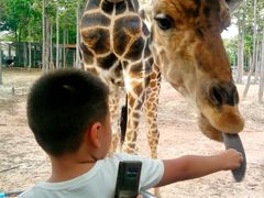 -清迈夜间动物园