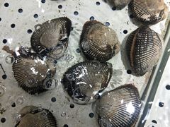 -安东水产海鲜餐厅