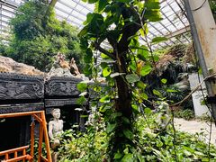 -龙达温泉生态城