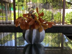 -普吉岛凯悦酒店