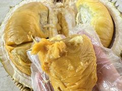 -都念榴莲·城市榴莲