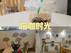 -楼上猫咖(罗湖店)