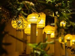 -叶叶菩提·晋福宫