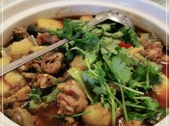 -高坎一品甲鱼庄(两河店)