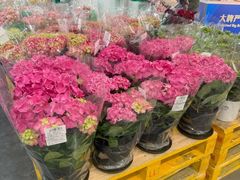-山姆会员商店(大连店)