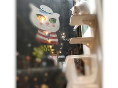 -猫咪博物馆(顶澳仔猫街店)