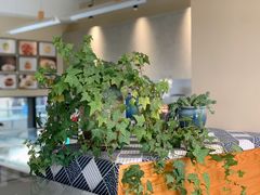 -丘中有甜(乐清·江南里店)