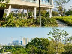 -THE PLAN_T COFFEE ROASTER(定岗湖公园店)