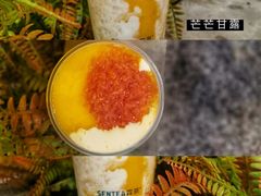 -SENTEA森茶(麦地丽日店)