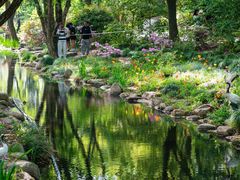 -上海共青森林公园