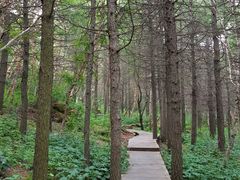 -白草畔自然风景区