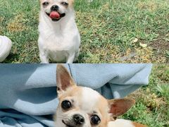 -渭河城市绿地运动公园