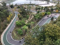 -飞凤山奥体公园