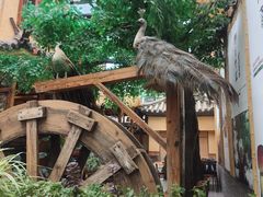 -大理董·董家小厨野生菌火锅(古城旗舰店)