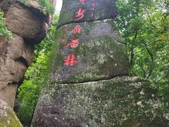 -汤旺河林海奇石景区