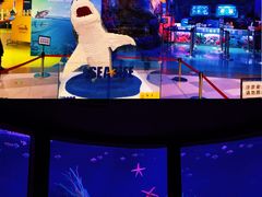 -沈阳海洋探索中心