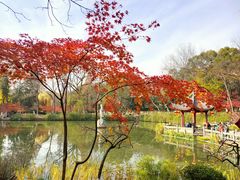 -碧桂园凤凰城酒店(南京店)