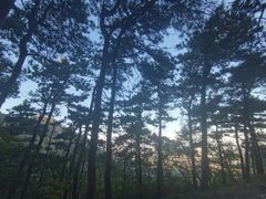 -北京鹫峰国家森林公园