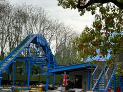 -上海共青森林公园