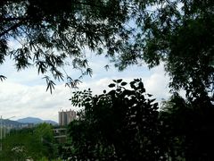 -羚羊峡古栈道森林公园