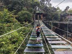 -海南槟榔谷黎苗文化旅游区