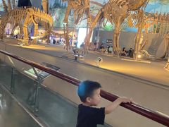 -中国西峡恐龙遗迹园