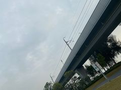 -宝安西湾红树林湿地公园