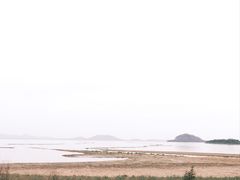 -合肥滨湖国家森林公园