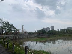 -中澳友谊花园