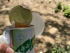 -丁香湖公园