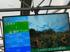 -南宫五洲植物乐园