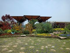 -上海长兴岛郊野公园