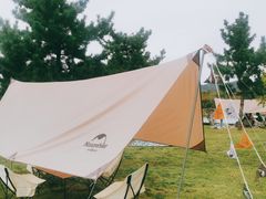 -羊亭河湿地公园