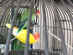 -老味道民宿(栈桥店)