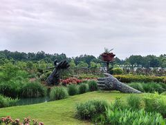-都江堰玫瑰花溪谷