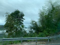 -大围山国家森林公园
