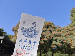 -大慈恩寺(大雁塔)