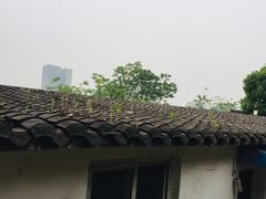 -大渡口区义渡公园