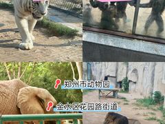 -郑州市动物园