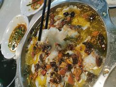 -杨记大丰收鱼庄(国贸店)