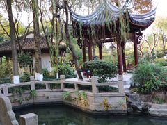 -朱家角课植园